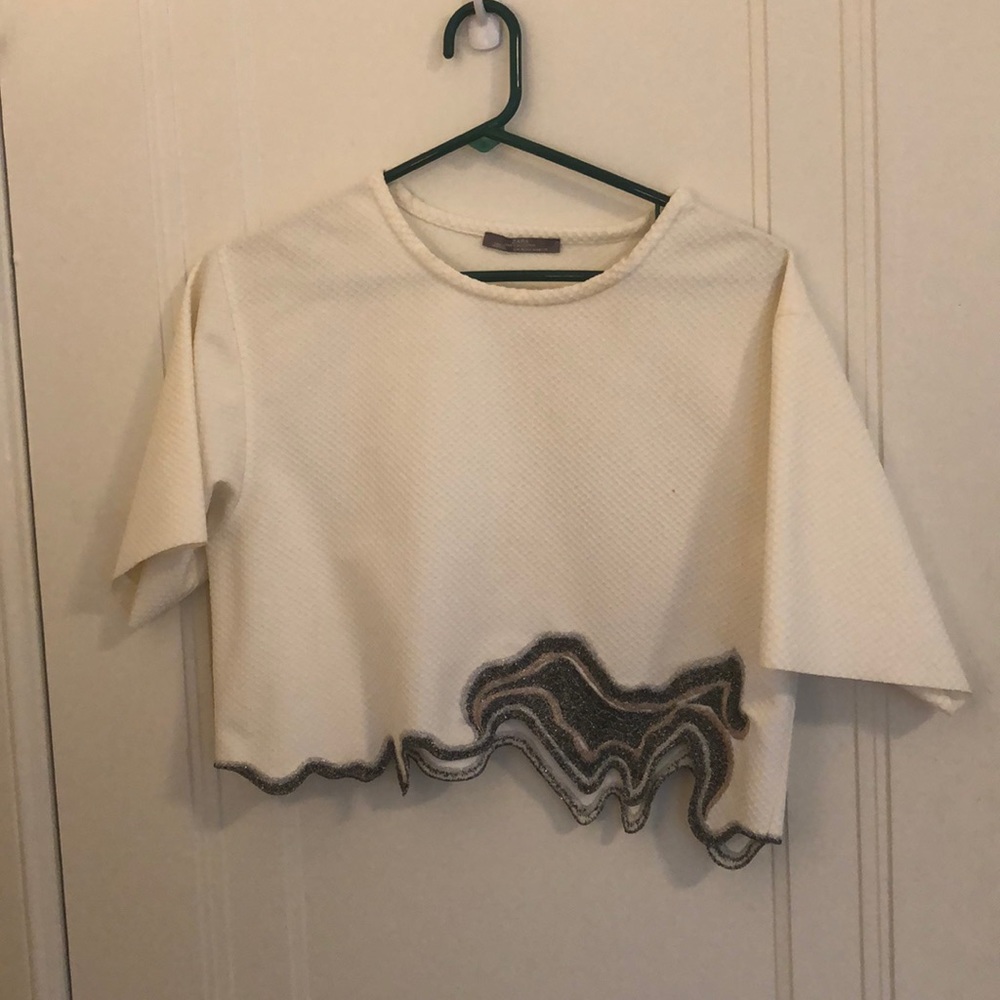 Zara crop top